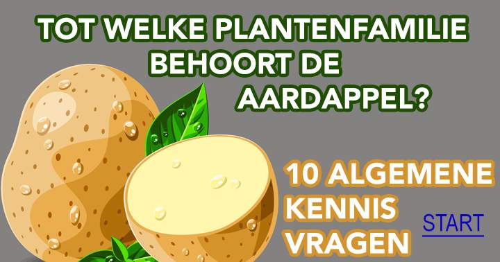 10 algemene kennis vragen die je perse goed wil beantwoorden